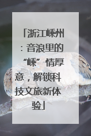 浙江嵊州：音浪里的“嵊”情厚意，解锁科技文旅新体验